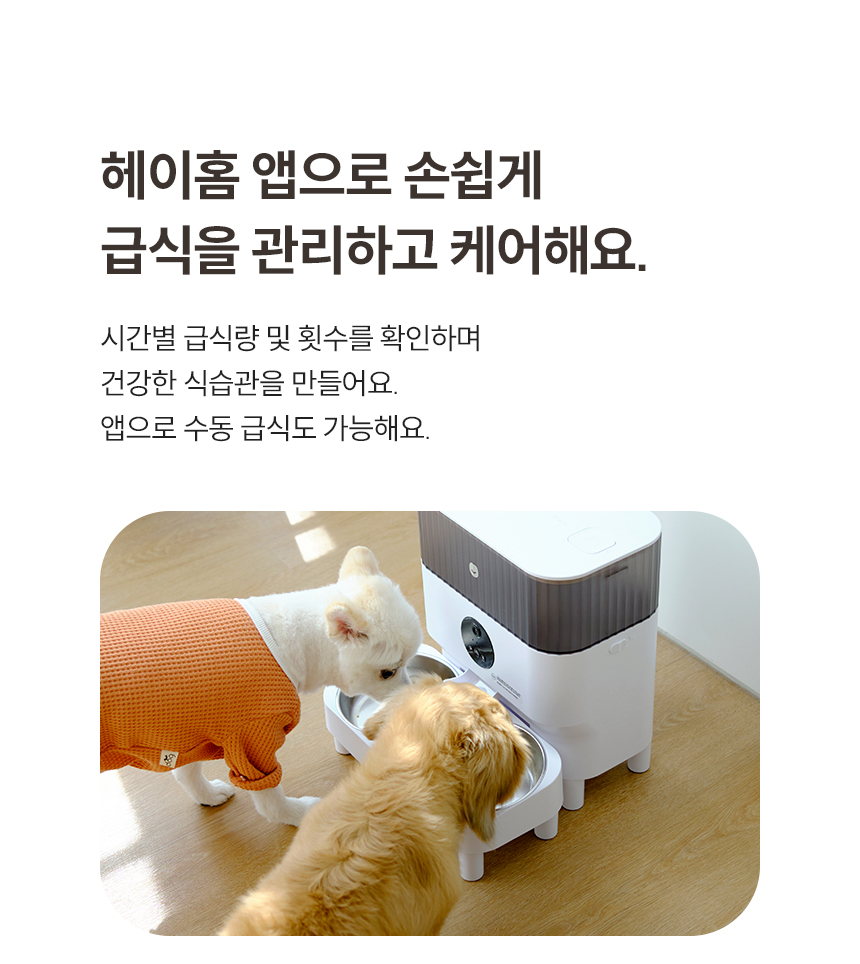 헤이홈 앱으로 손쉽게 급식을 관리하고 케어해요