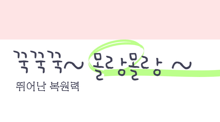 냥이 뭐든 해줄게 롱쿠션 4colors 상세 이미지 13
