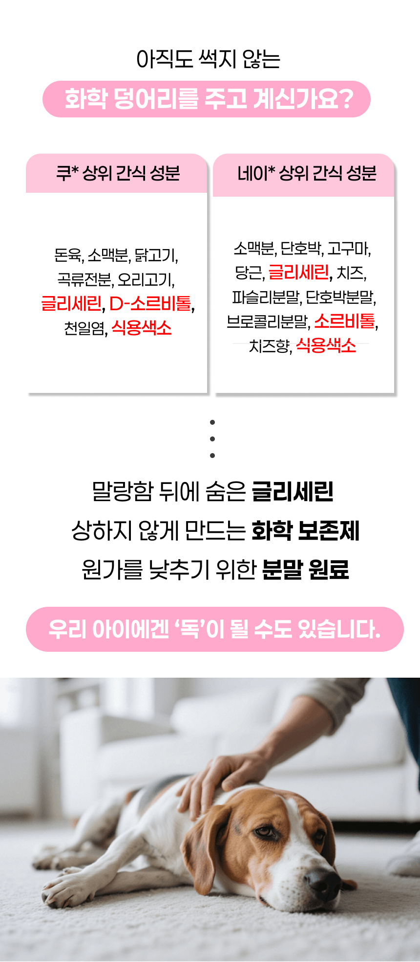 상품정보
