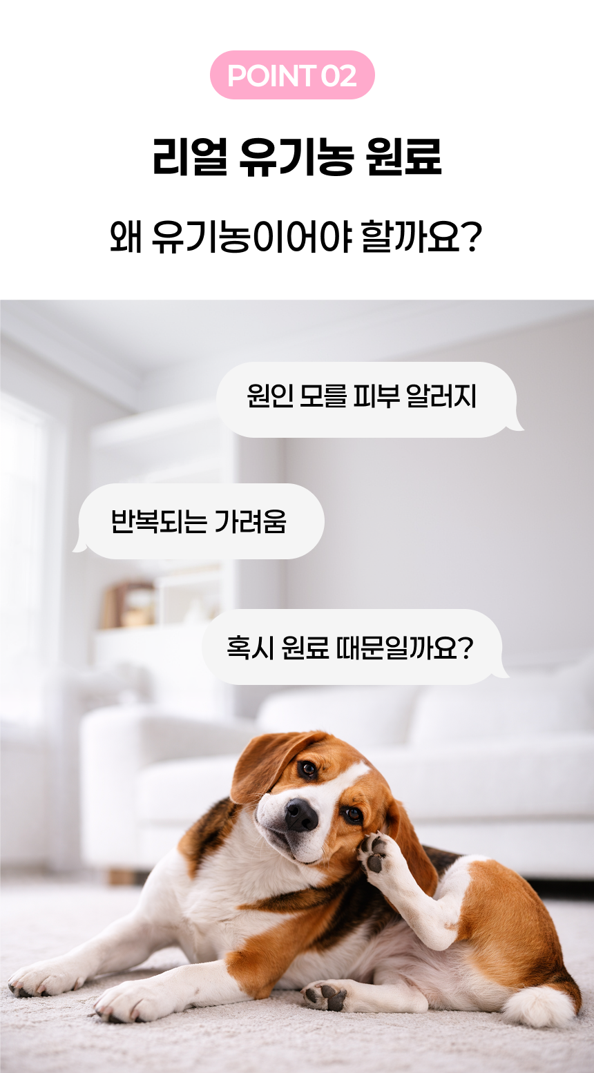 상품정보