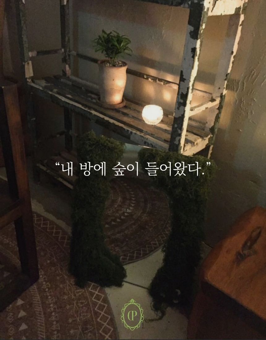 상품정보