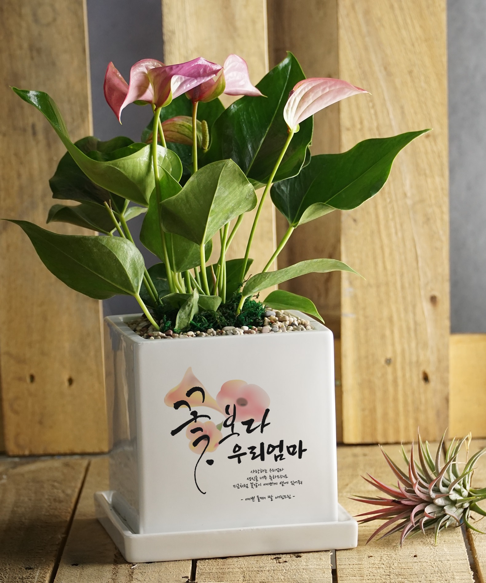 카카오톡 선물하기