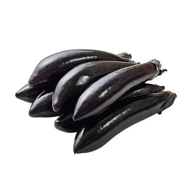 프레베네 사진 3