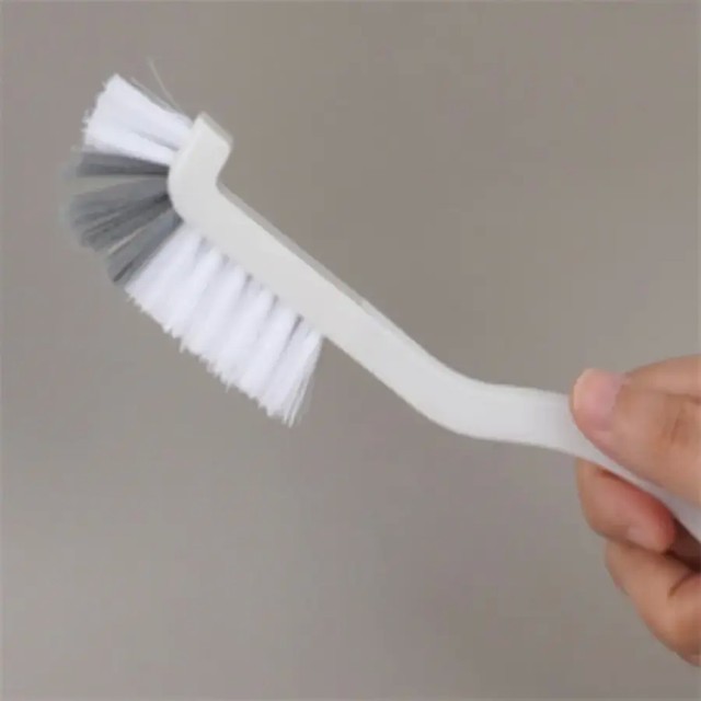 솔 사진 4