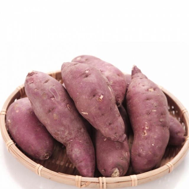 해오름 사진 7