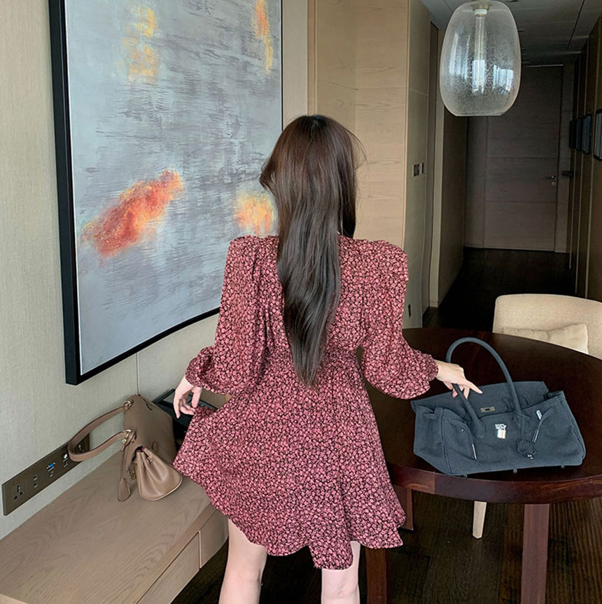 콩브라운 이미지