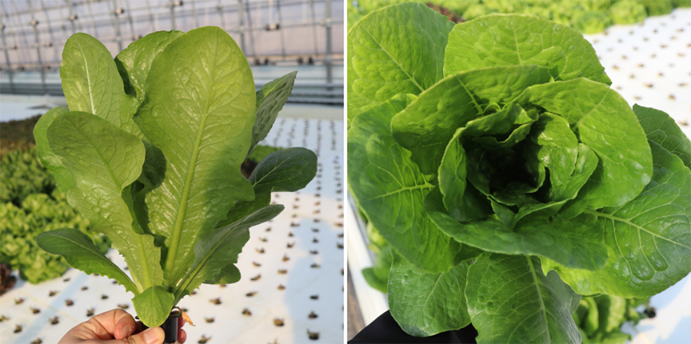 20220404094952_b2a38d118d0a426da3a5bc34d438602a