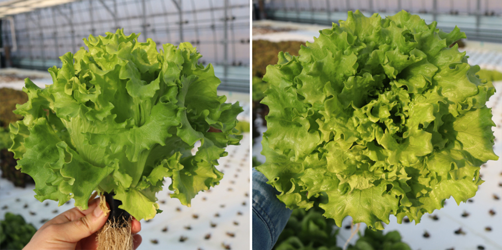 20220404094953_98c8cb141003405f93e10b6c18013201