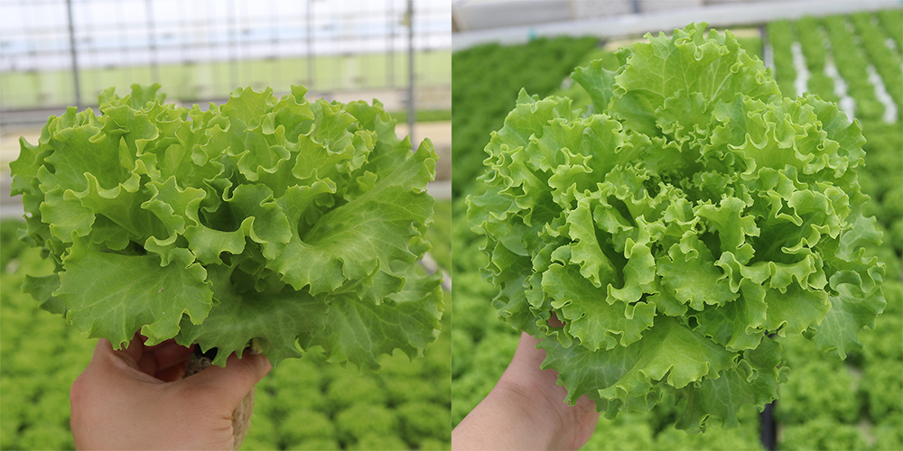 20220404094954_f9cc82358e634a818bde019a7bb6fb7a