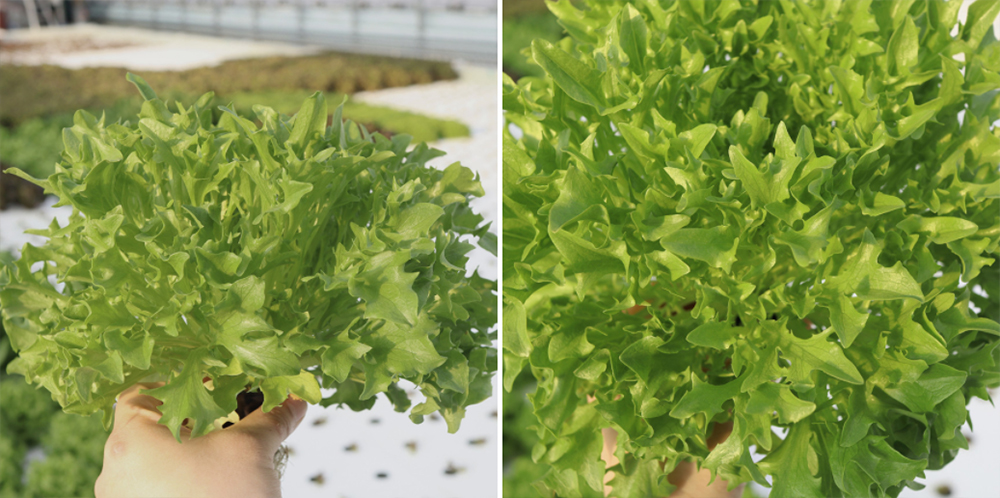 20220404094955_f8b8dc7861f043599eb5937eb54fa672