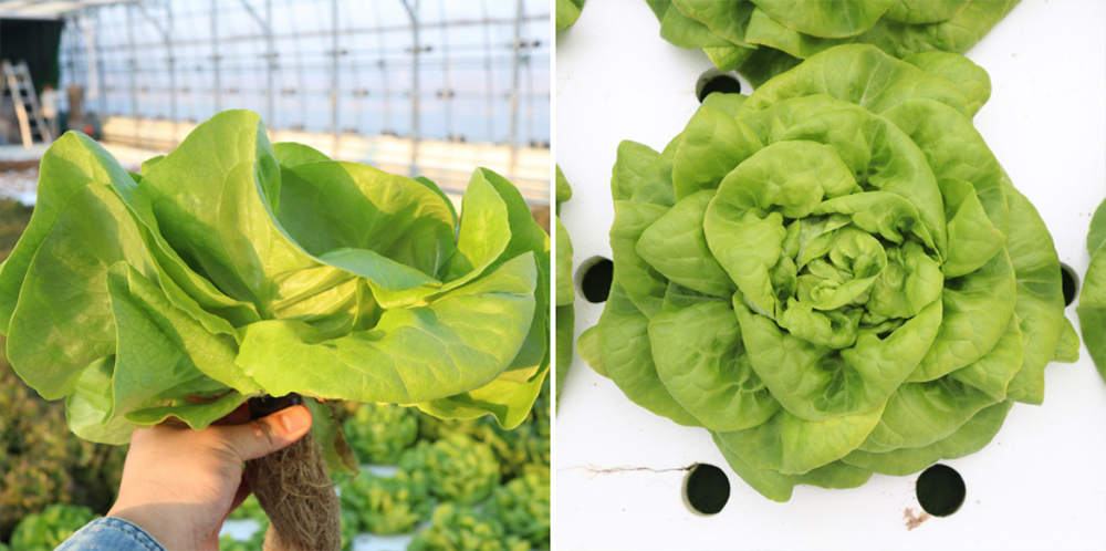 20220404094957_7a18c1ac27004afd9dd2f5f1df85f041