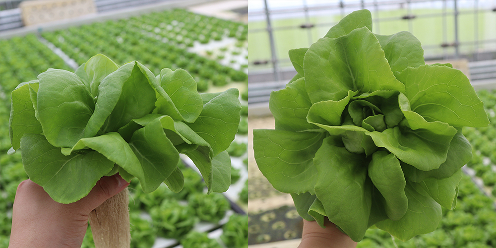 20220404094958_a23e6c2d1e92471fb6a3fcec0539967f