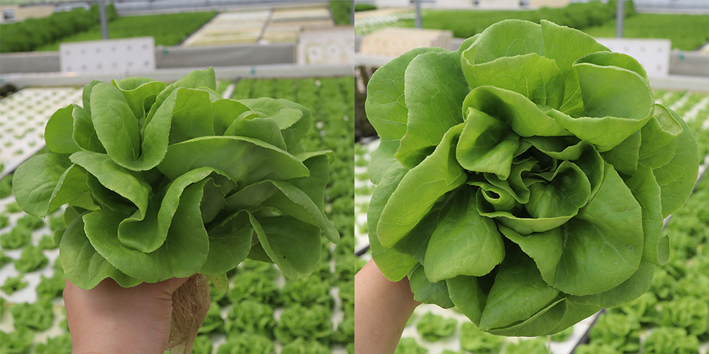 20220404094958_fd9ff6fb645a4641ba061abb143595df