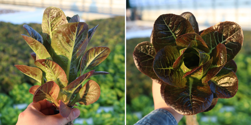 20220404094959_1f154ea286604c718f1649658a1b2c49