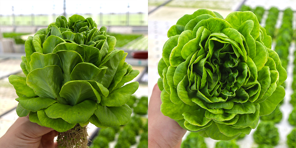 20220404095000_26ae17b7851e4f21b2554e0e2cb45f3c