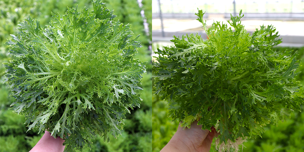 20220404095001_2b5846f4d72e4974876314541d7cee0a