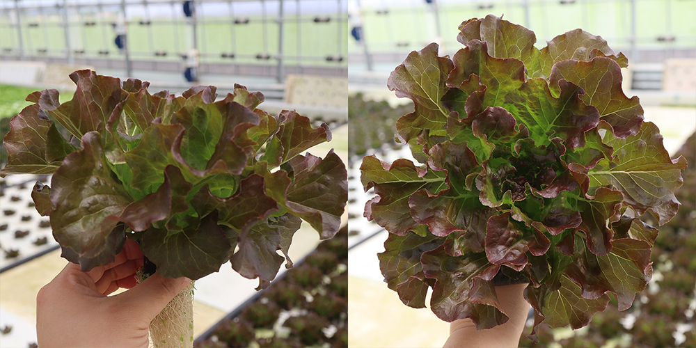 20220404095002_414c88da6a3c4aba8064e345f18e431d