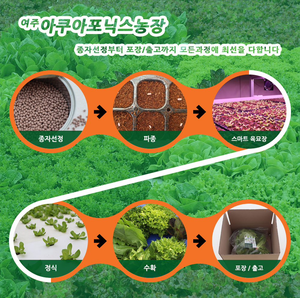 20220404095010_e1950409b2fb446c99dc6d421aaf022c