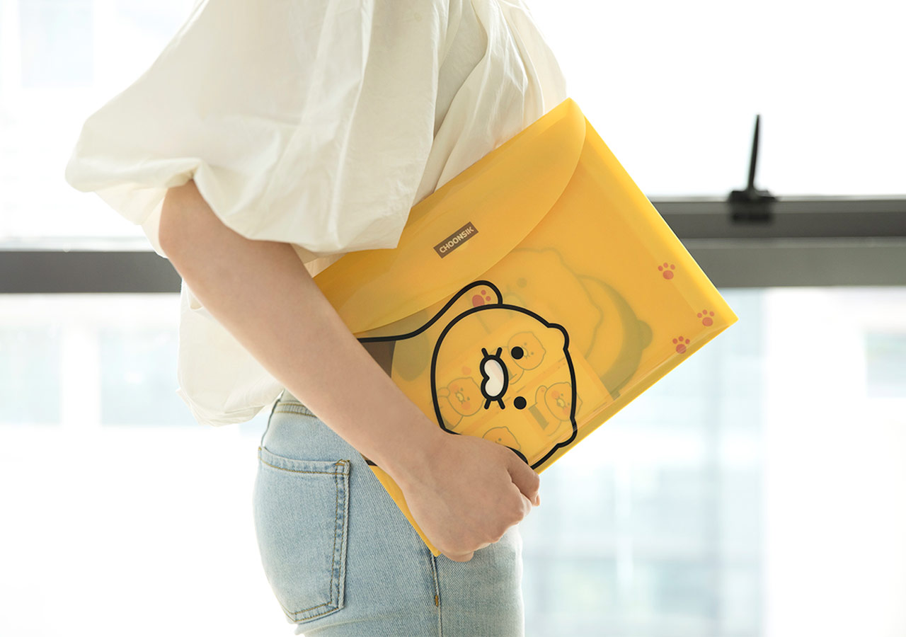 Kakao Friends Chunsik Envelope File