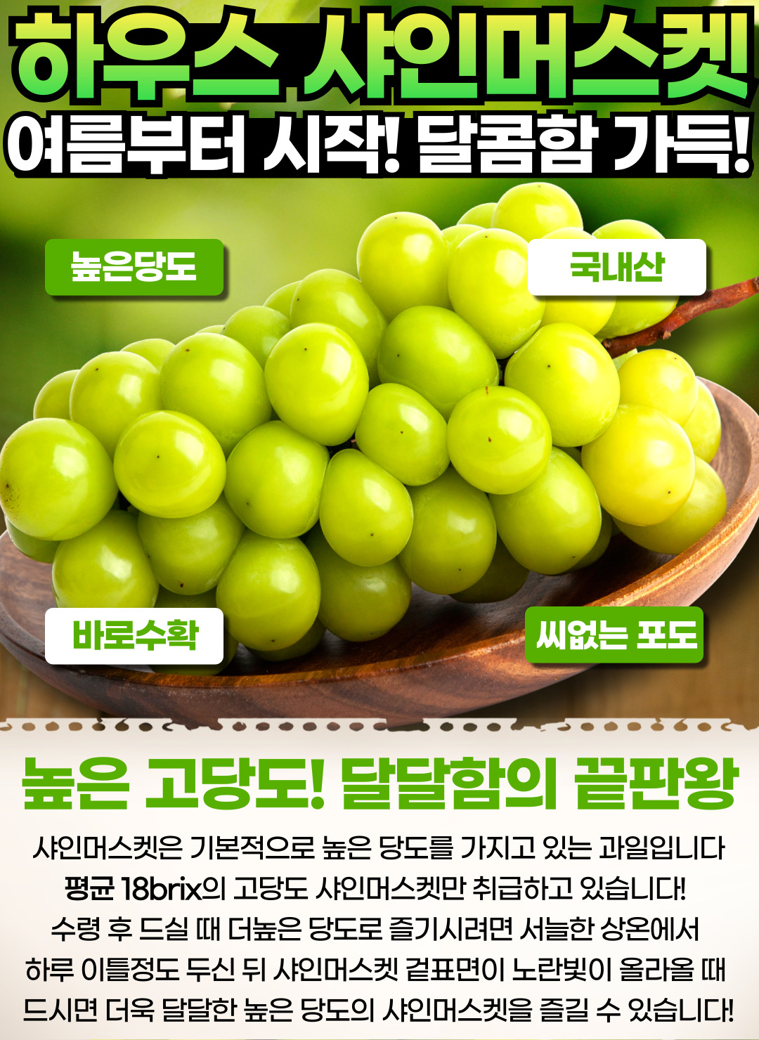 상큼 달콤한 샤인머스켓 상급 1kg 2수 이상~