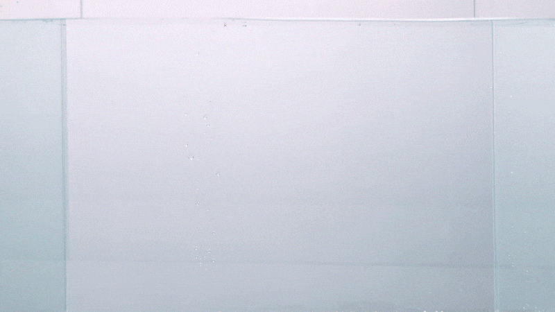 20241015141526_00af586a30f344d0877b3635693924dc.jpeg