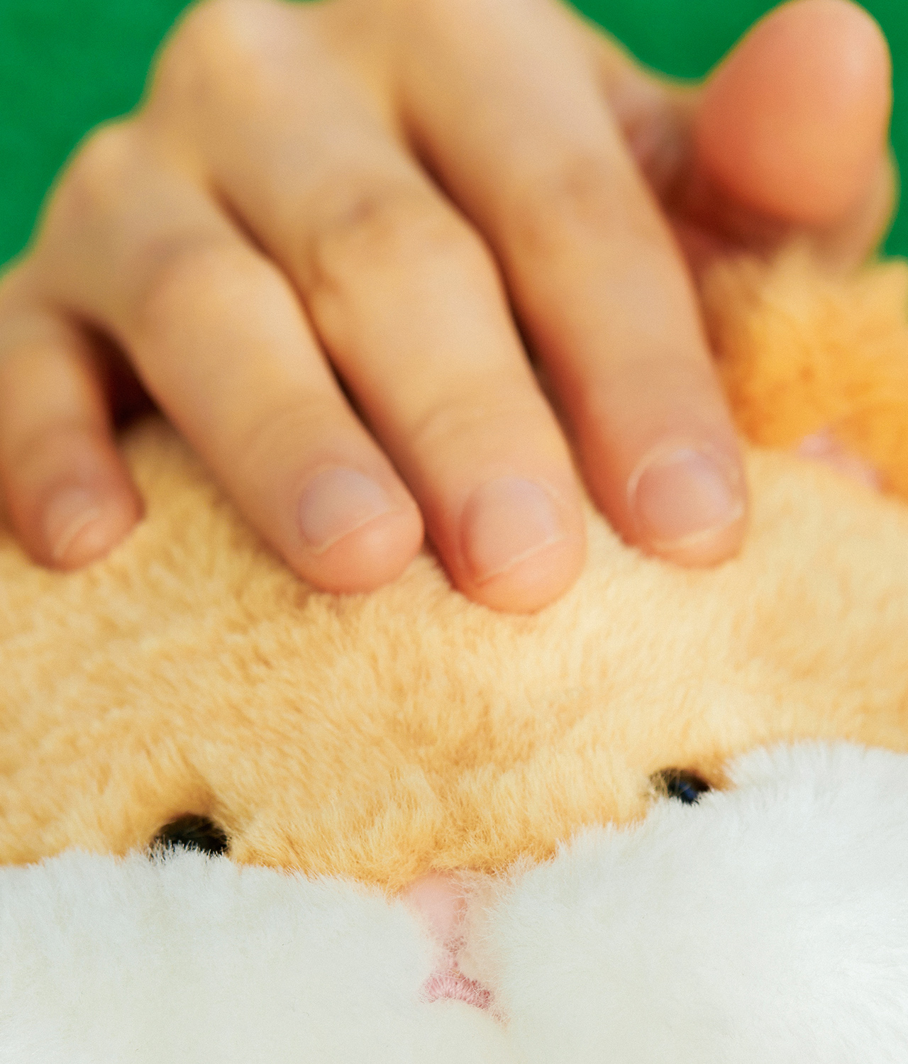 FRIENDZOO Plush Chunsik
