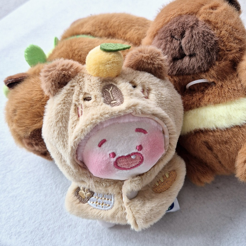 지오몽 10cm 인형 옷 카피바라 망토 무속성 아이돌 인형옷 입히기 상세 이미지 12