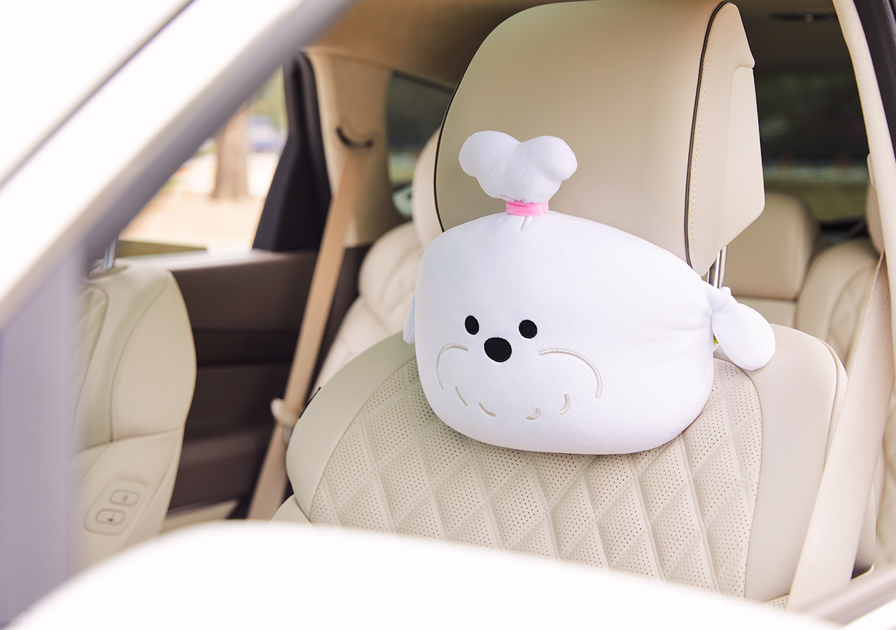 Car Cushion