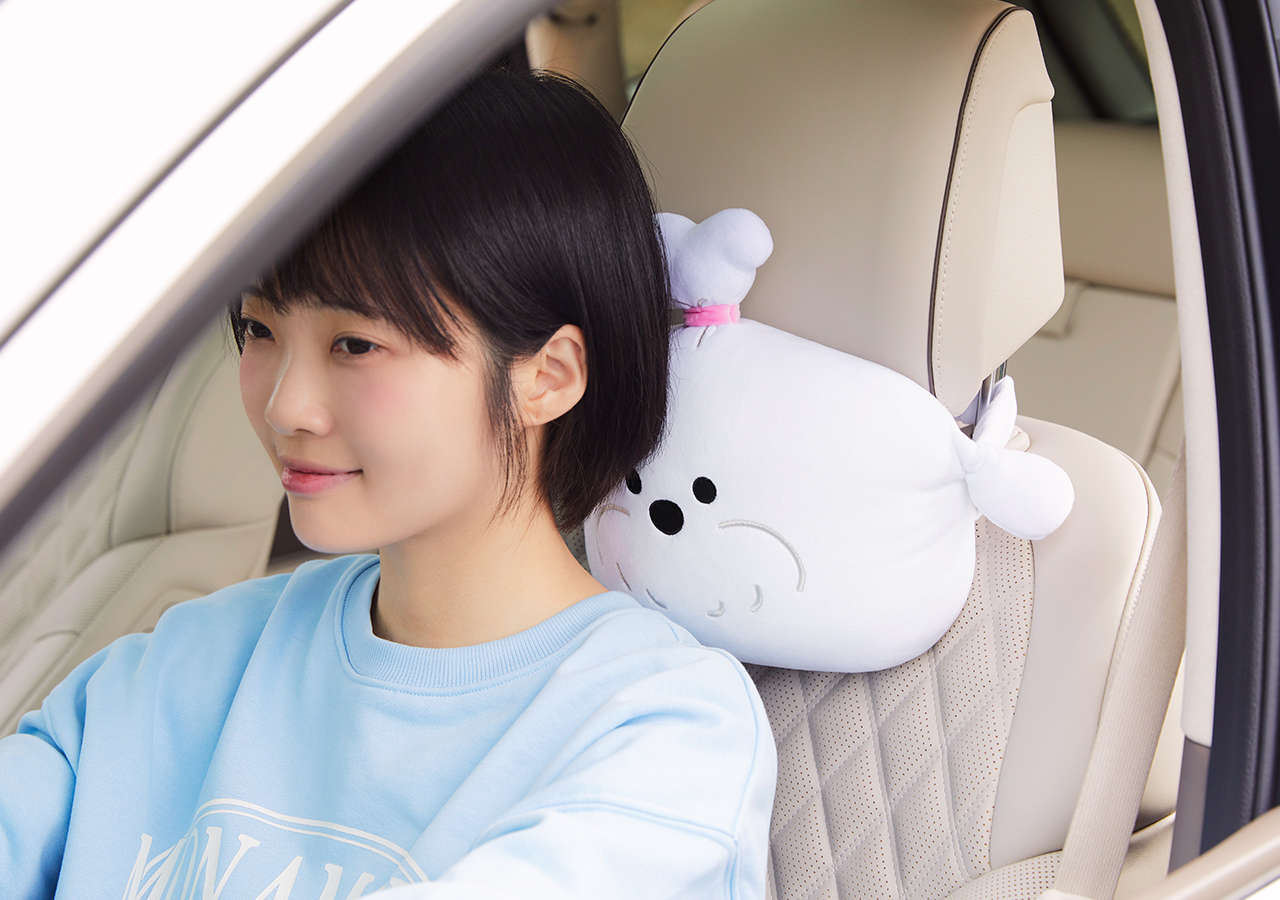 Car Cushion