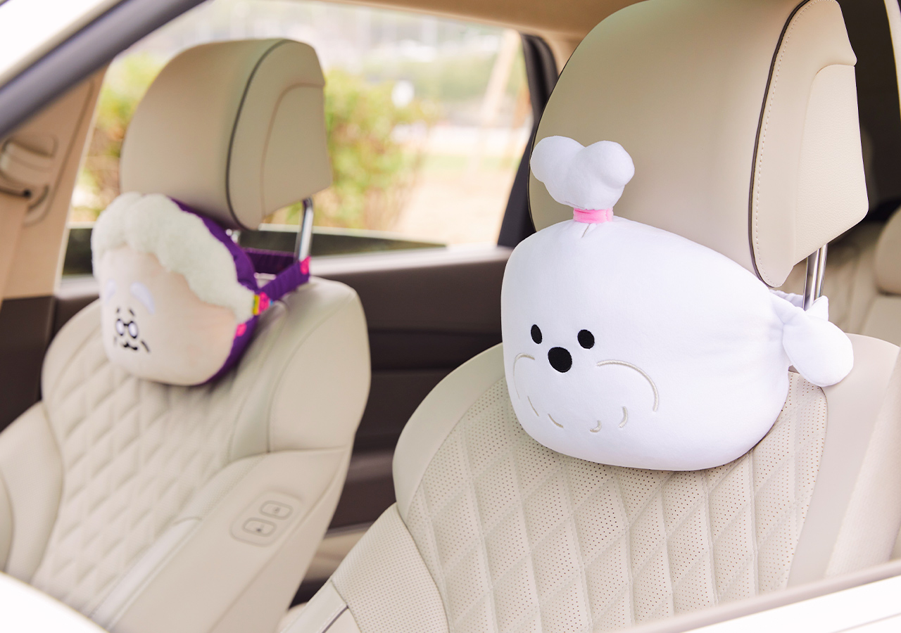 Car Cushion