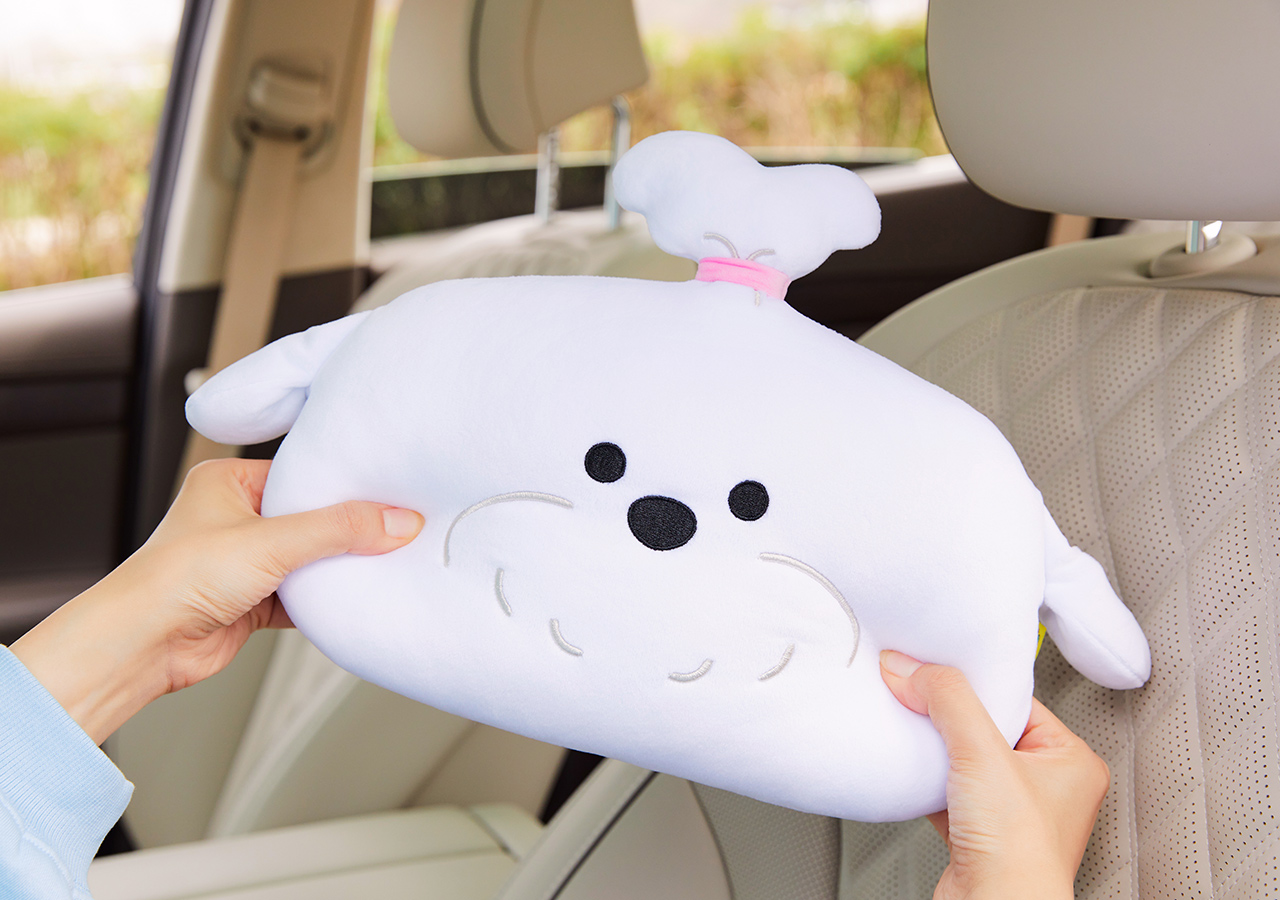 Car Cushion