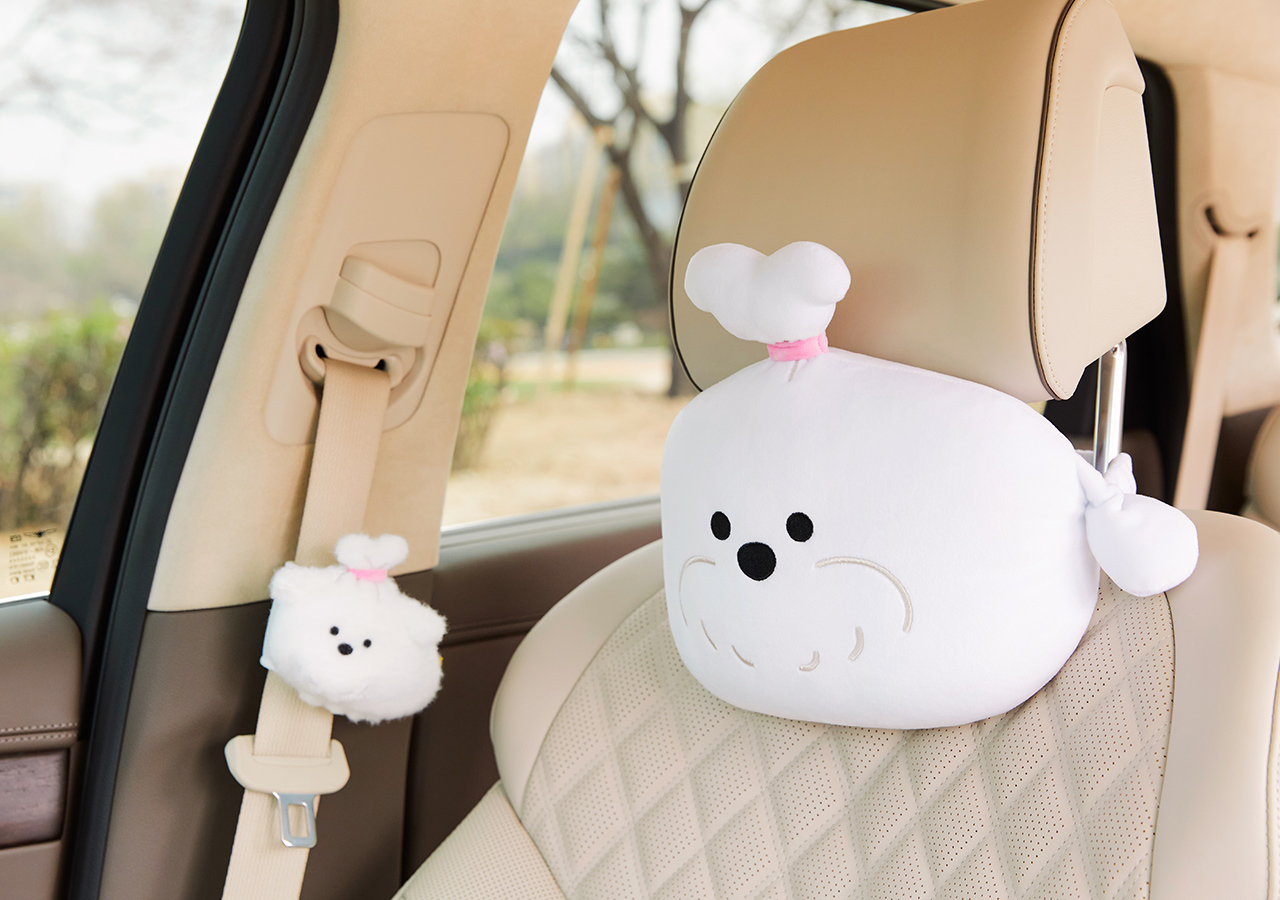 Car Cushion
