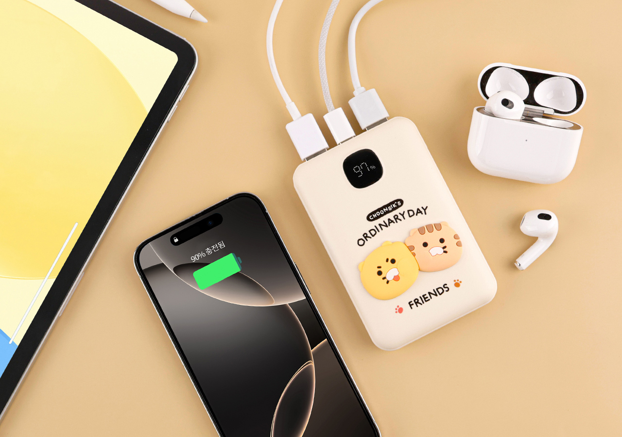 Power Bank 10,000