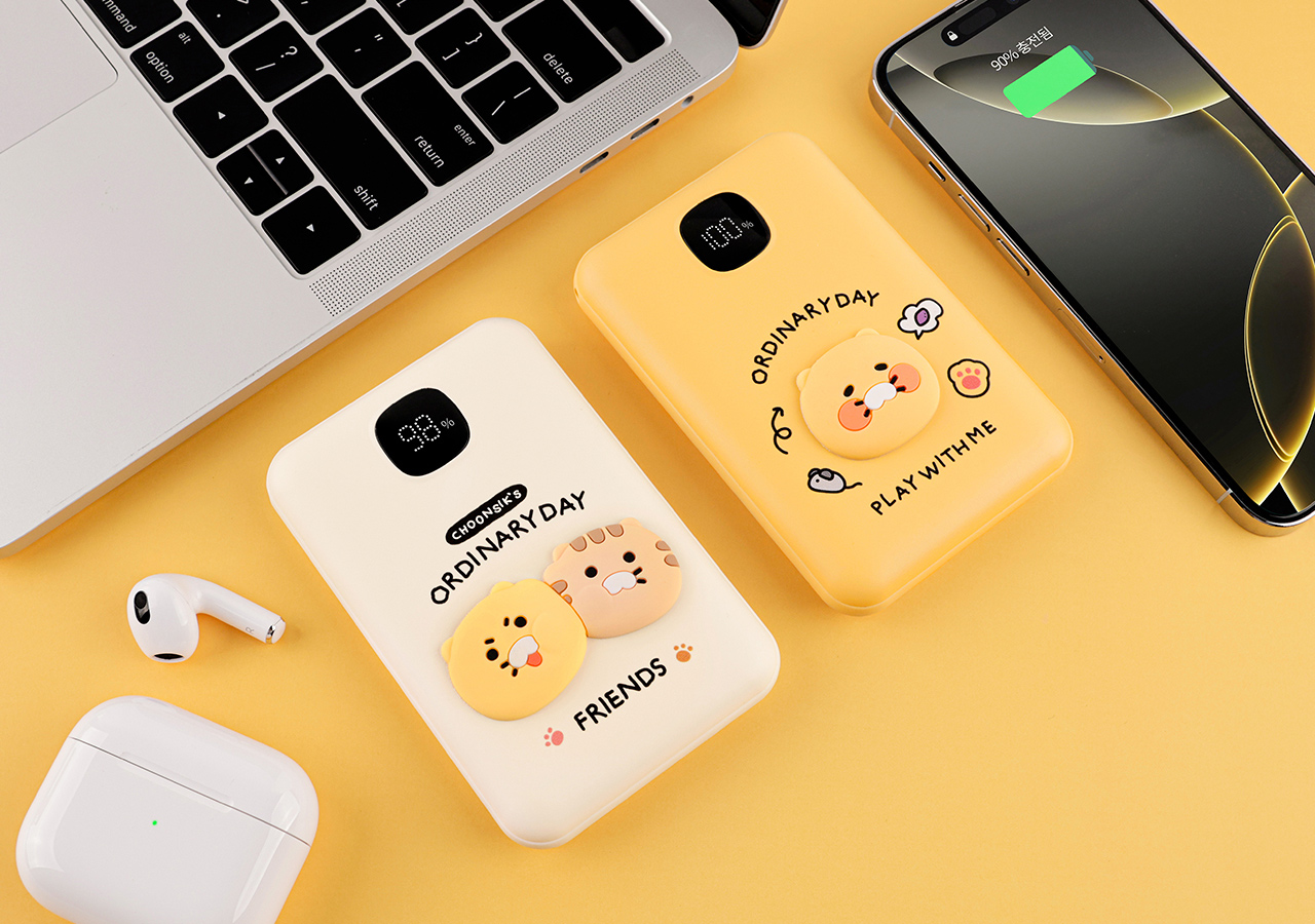 Power Bank 10,000