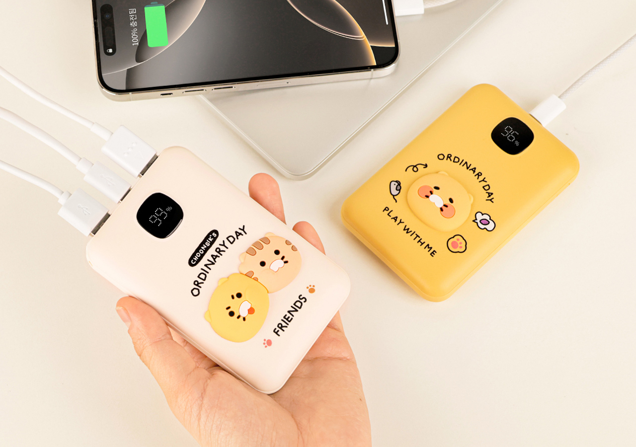 Power Bank 10,000