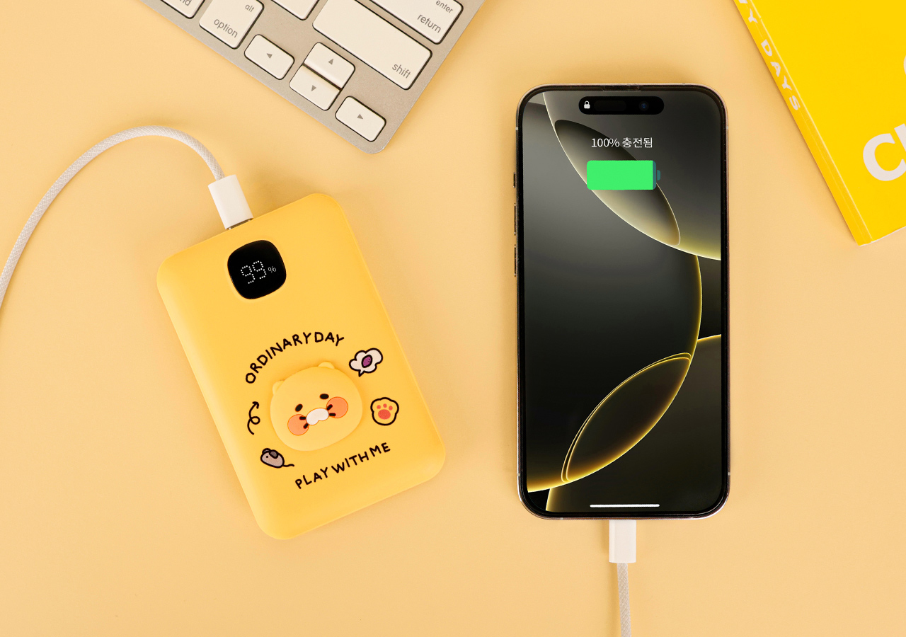 Power Bank 10,000