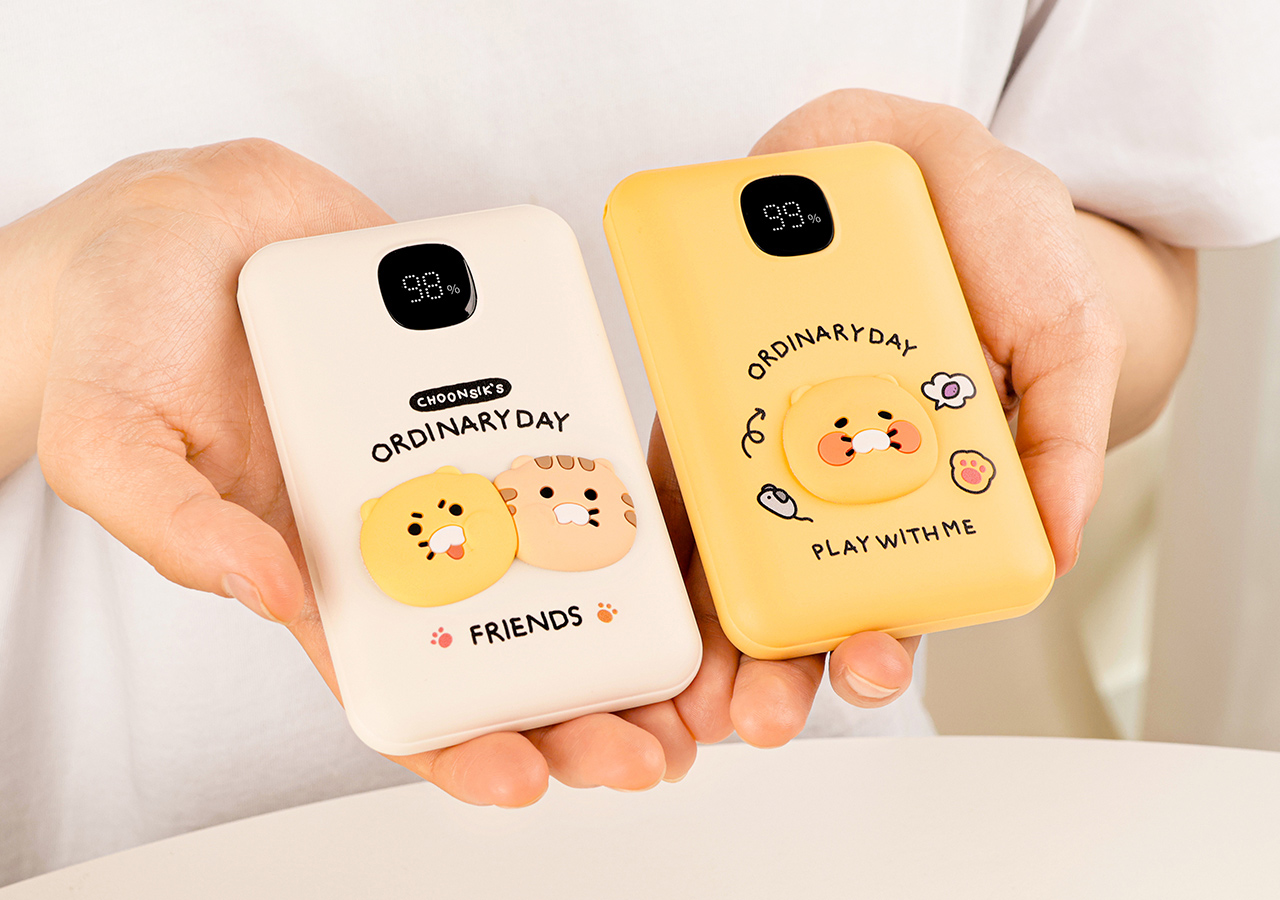 Power Bank 10,000