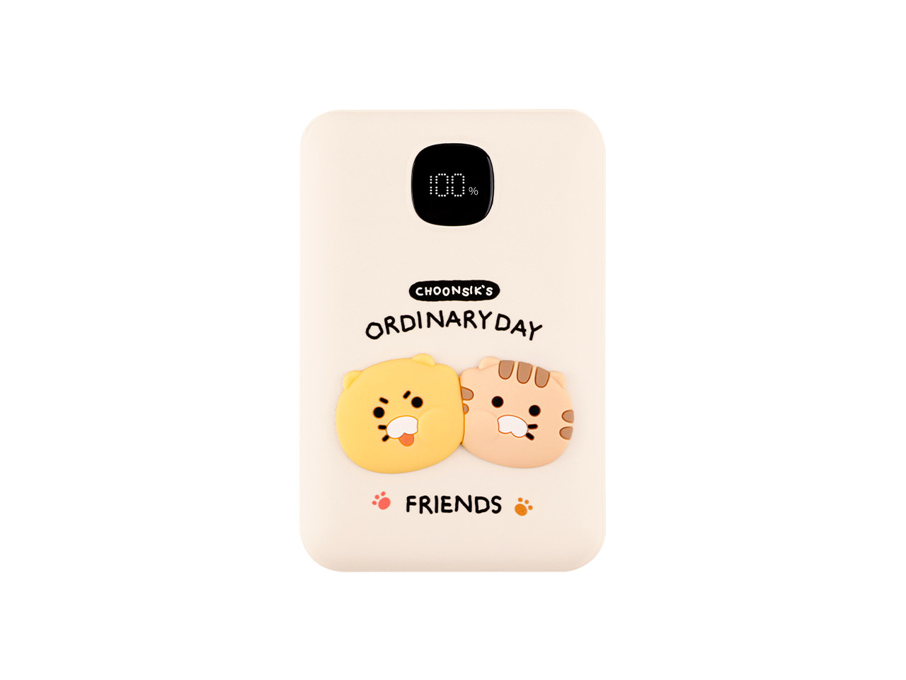Power Bank 10,000