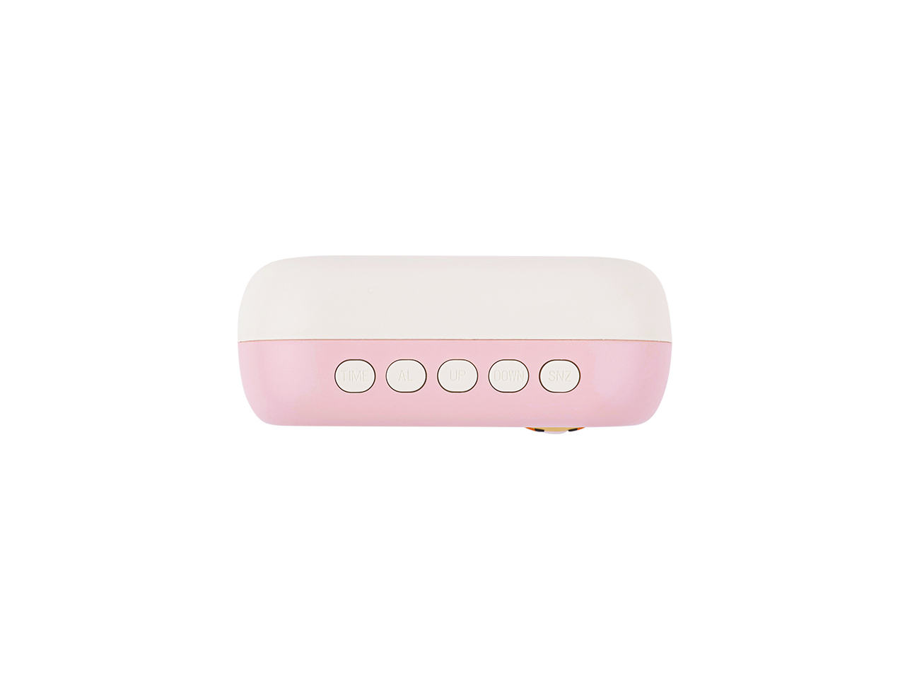 Mini Rose Chunsik