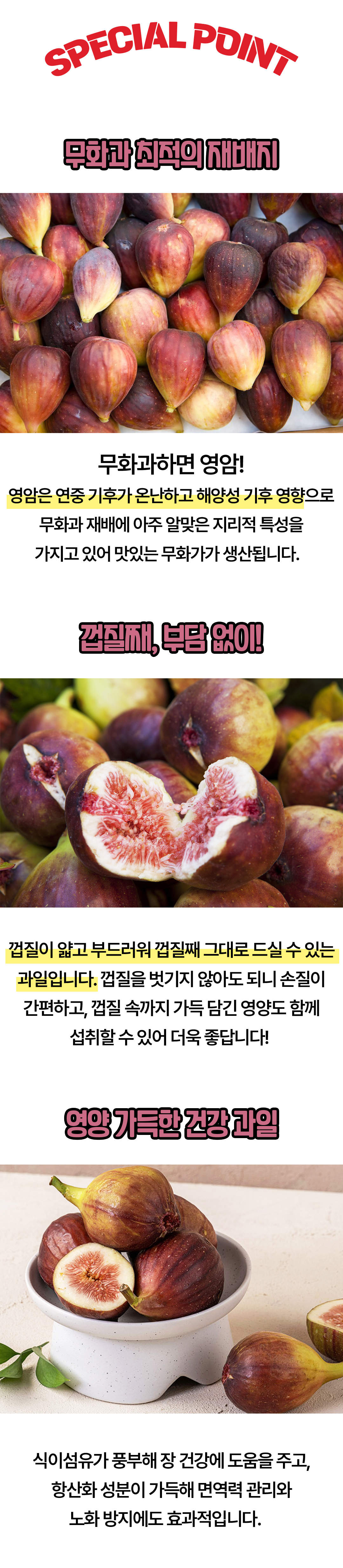 상품정보