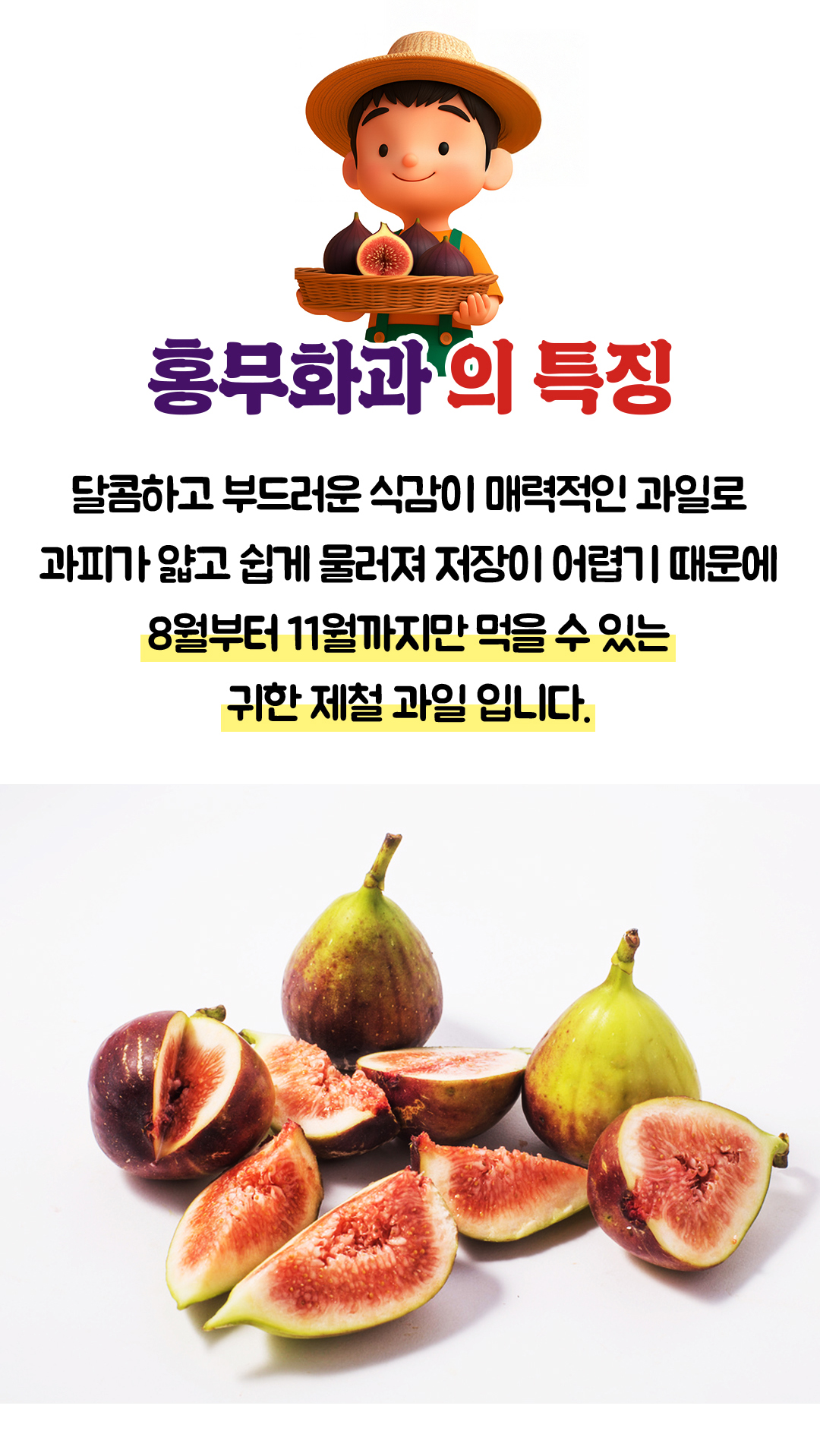 상품정보