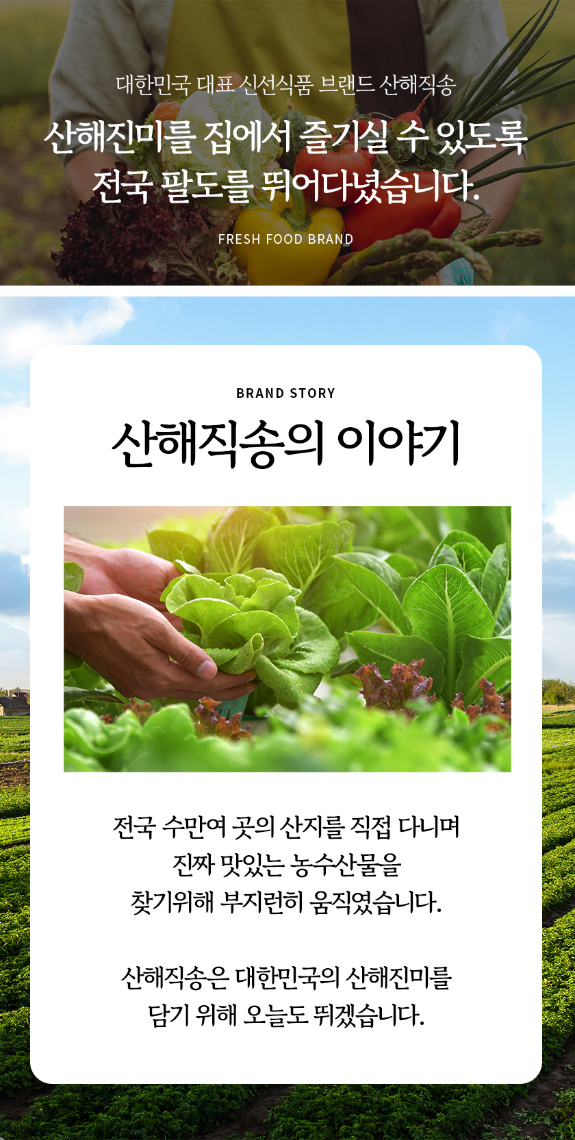 상품정보