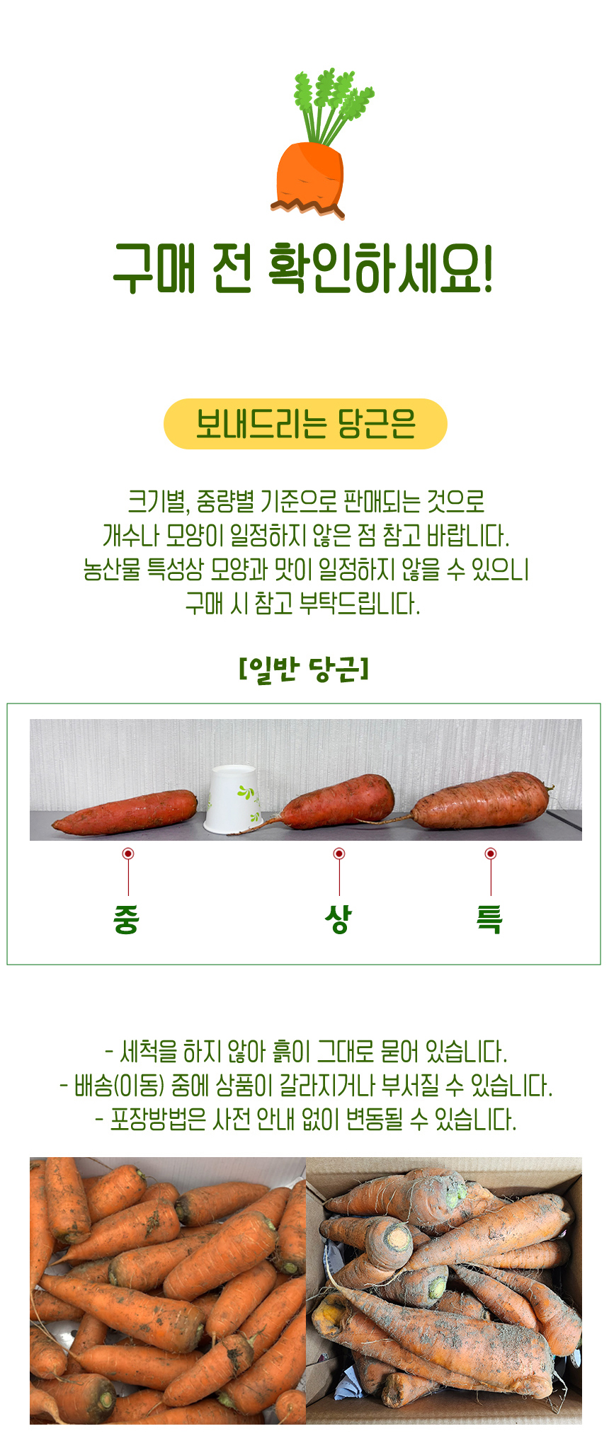 상품정보