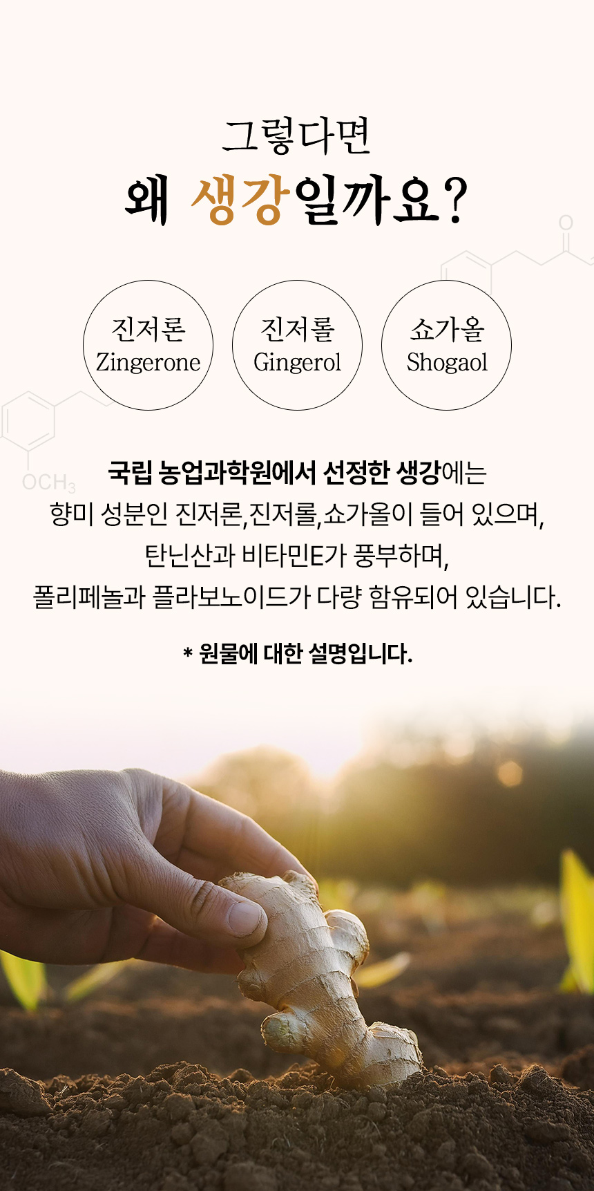 상품정보