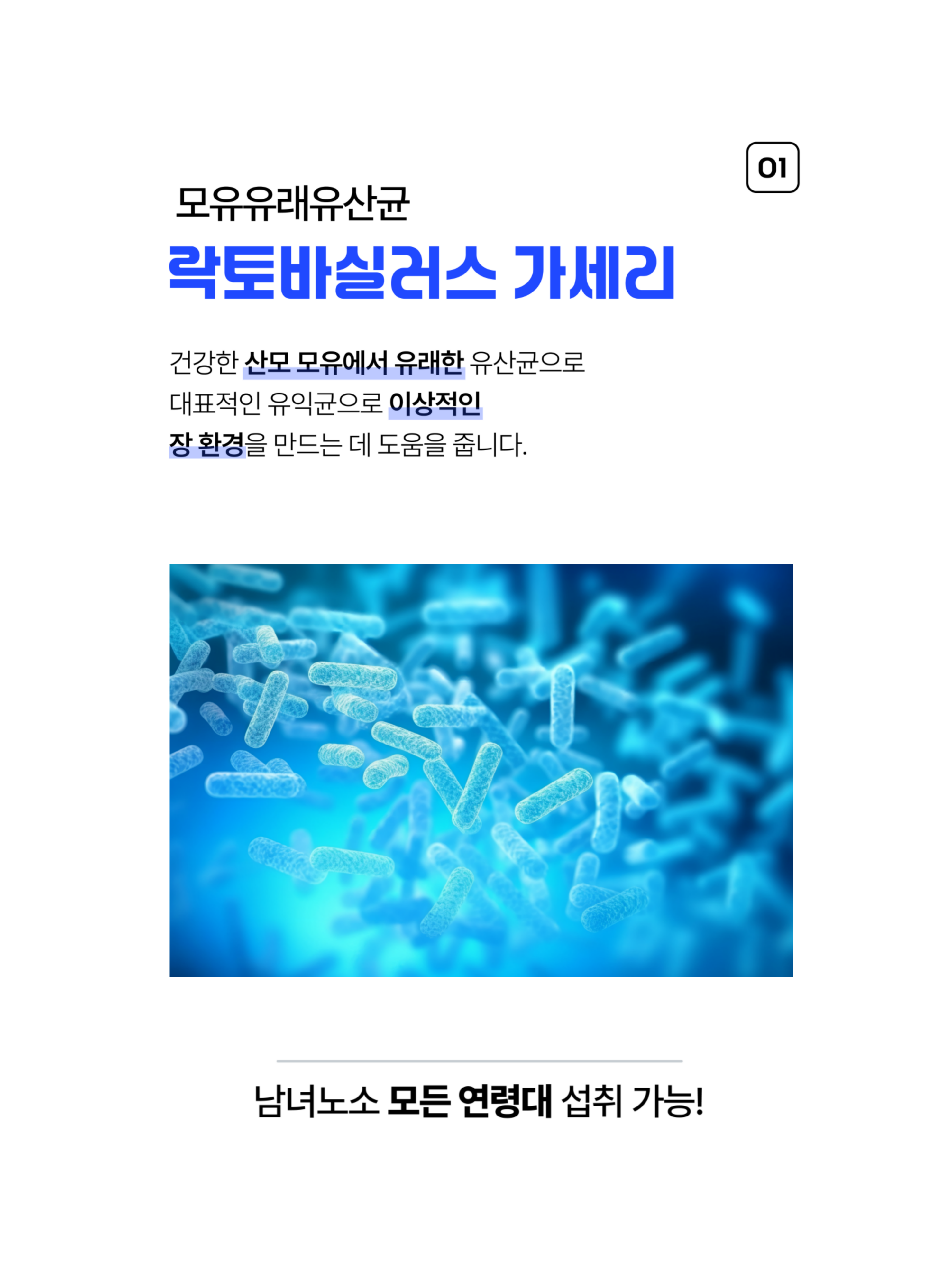 상품정보