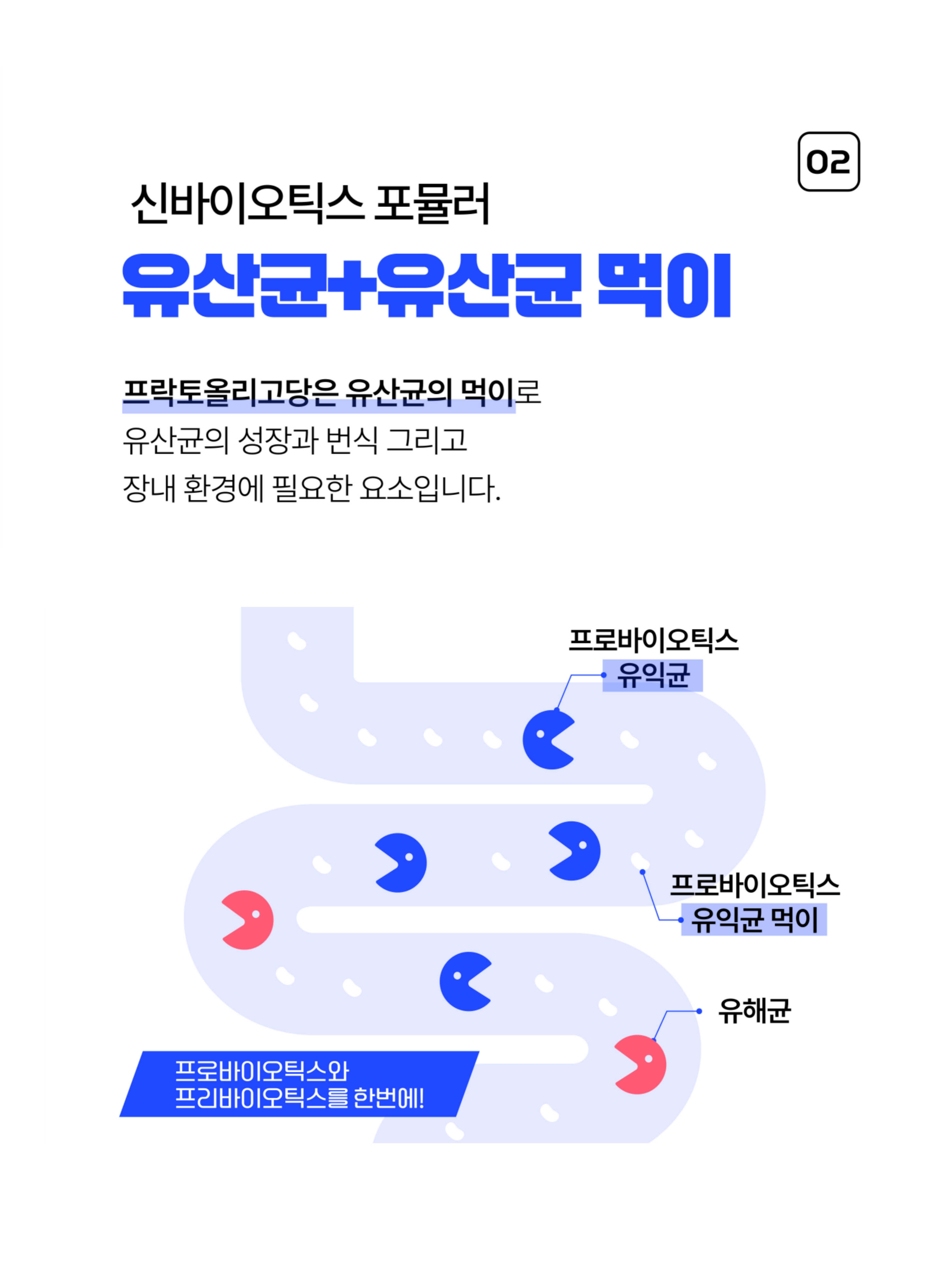 상품정보