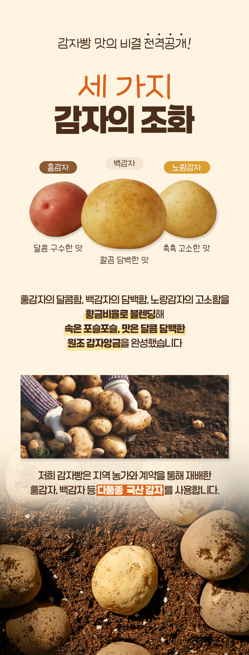 상품정보