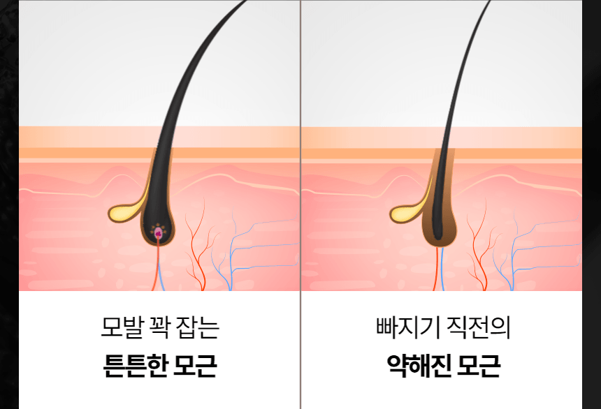 상품정보