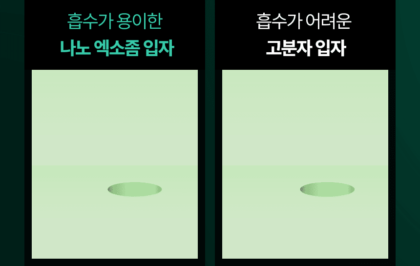 상품정보