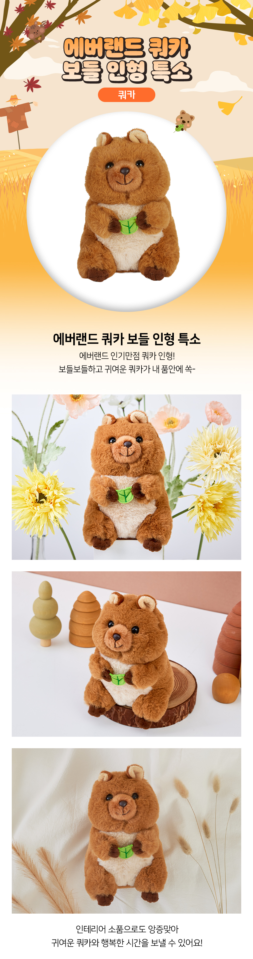 상품정보